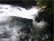 NForkFB 29